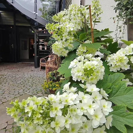 Lägenhet / Zur Tanne Wernigerode