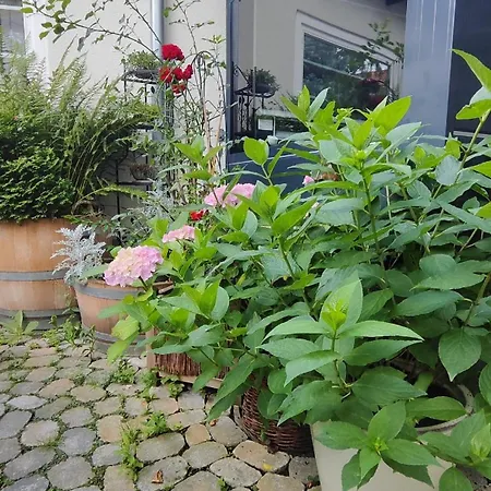 / Zur Tanne Wernigerode